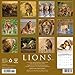 Lions 2026 Wall Calendar