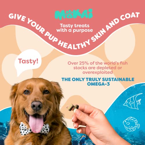 Mokai Algae Omega 3 For Dogs And Dog Allergy Chews | Vegan Dha Supplements Dog Fish Oil And Wild Alaskan Salmon Oil For Dogs Alternative For Dog Allergy Relief And Hot Spot Treatment For Dogs #TOP3