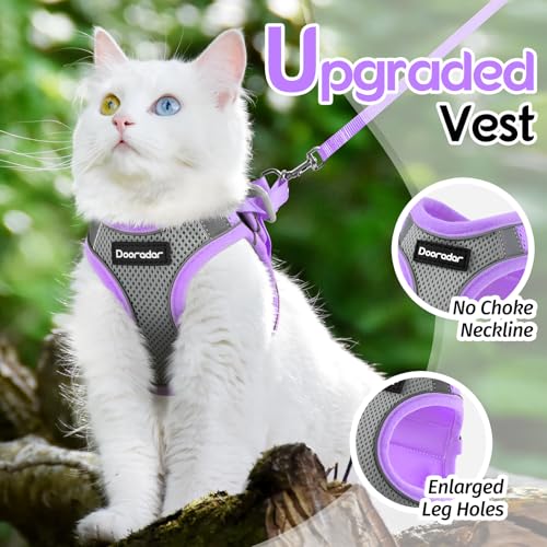 Harnais et laisse pour chat réglable et confortable en taille L