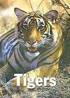 Tigers 1872266029 Book Cover