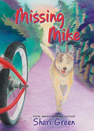 Missing Mike view 2