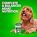 IAMS Proactive Health Wet Dog Food, Adult Wet Dog Food Multipack Ground Dinner, with Lamb & Rice Pate, 13 oz. (Pack of 6)