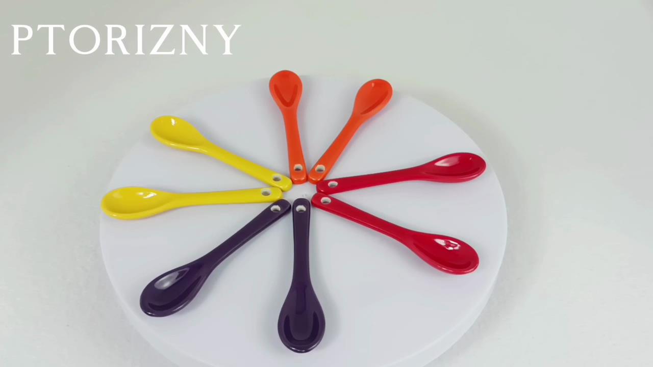 Amazon.com: PTORIZNY Mini Spoons for Spices, Ceramic Spoon 3.5