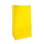 Partay Shenanigans Party Favor Bags - 50 Pack Kraft Paper Goodie Gift Lunch Treat Bags - Party Supplies for Theme Kids Birthday - 5x3x9 (Yellow)