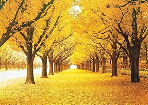 ALKOY Stained Art 1000 Piece Autumn Golden Yellow Forest Ginkgo Trees Fallen Leaves Fall Deciduous Landscape Adults Games Wooden Jigsaw Puzzles for Christmas Birthday