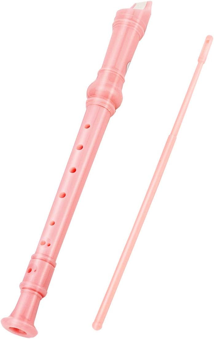 W.ent Descant Recorder 8-Hole Soprano Kids Music Flute With Cleaning Rod & Case Bag for School Student