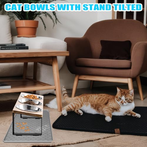 Exquilnova Katzennapf Erhöht, 3er Futternapf Katze aus Edelstahl, 15° Gekippte Futterstation Katze mit Napfunterlage Silikon und Metallhalter Fressnapf und Wassernapf für Katzen, Kleine Hunde