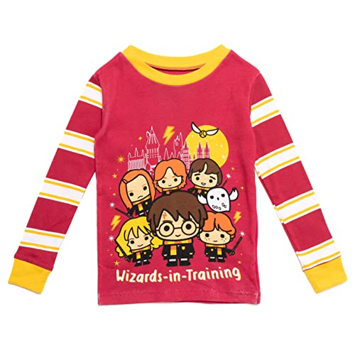 Harry Potter Ron Weasley Hermione Hedwig Owl Girls Pajama Shirt Pants Little Kid to Big Kid2