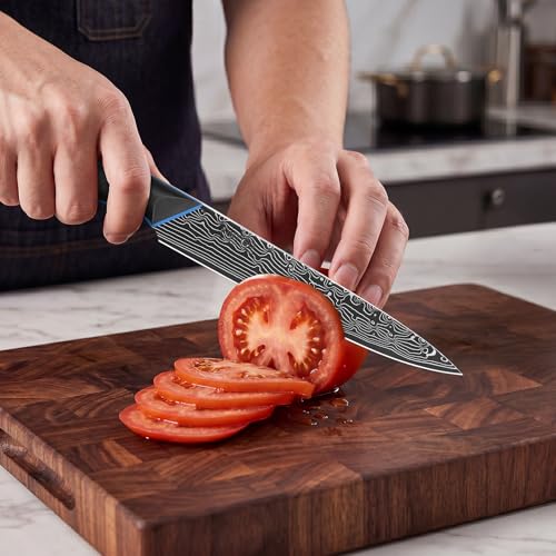Image of FINTISO Damascus Chef Knife 6 inch, Petty Knife in 67-Layer Damascus Steel, Ultra Sharp Japanese Kitchen Utility Knives with Ergonomic G10 Handle - Zeus Series
