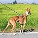 Ferplast Hundegeschirr Mittelgroße Hunde Brave MEDIUM, Ausbruchsicheres Hundegeschirr, Greyhound, Verstellbares Geschirr für Hunde, 6 Verschlüsse, Braun