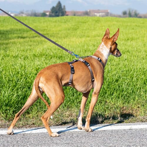 Ferplast Hundegeschirr Mittelgroße Hunde Brave MEDIUM, Ausbruchsicheres Hundegeschirr, Greyhound, Verstellbares Geschirr für Hunde, 6 Verschlüsse, Braun