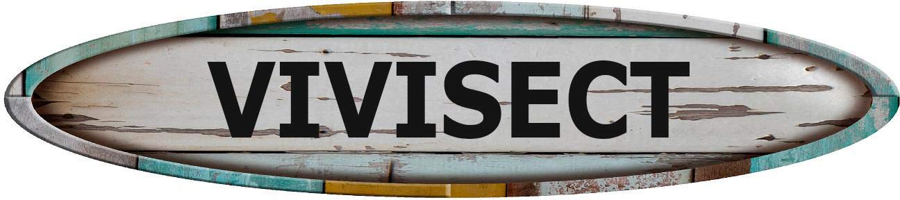 VIVISECT Long Oval Shaped Weathered Rustic Painted Wood Look Magnet for use on Any Steel Surface