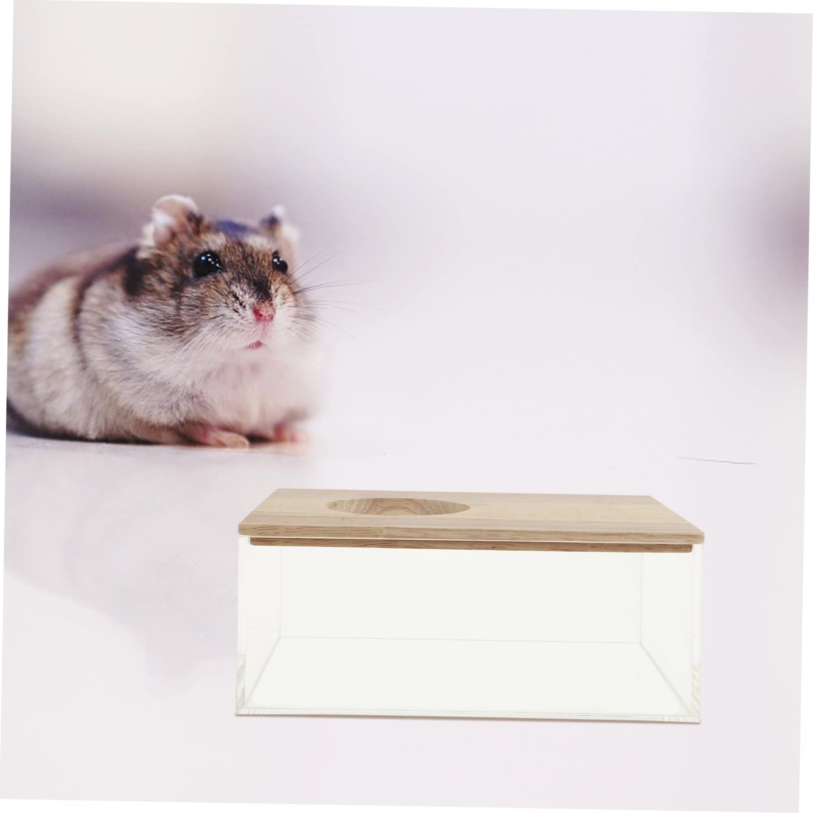 Happyyami Transparente Sandbadbox für Kleine Haustiere und Hamster aus Acryl Sicher zum Spielen und Baden Verhindert Sandverlust für Zuhause und Zoohandlung