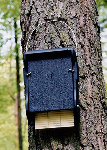 Schwegler Naturschutzprodukt Fledermaus Nistkasten Nisthöhle Fledermaushöhle 1FF mit eingearbeiteter Holzrückwand aus Holzbeton Höhe 43 cm