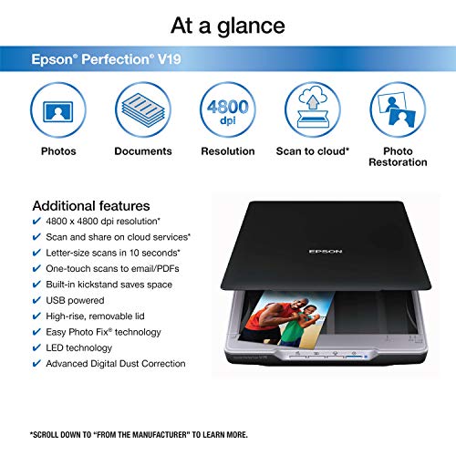 Scanner Epson Perfection V19 - Documentos e Fotografias, 4800 dpi, Easy Photo Fix, USB