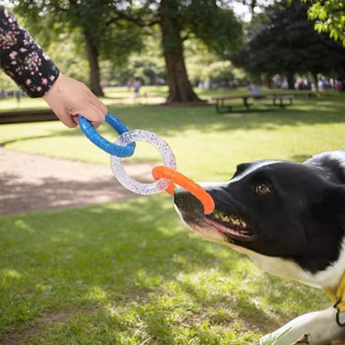 Hundering-Spielzeug für Training und Zahnreinigung, Kauspielzeug für Hunderinge aus Gummi mit 3 farbigen Ringen, interaktives, unzerstörbares Hundespielzeug für kleine, mittelgroße und große Hund