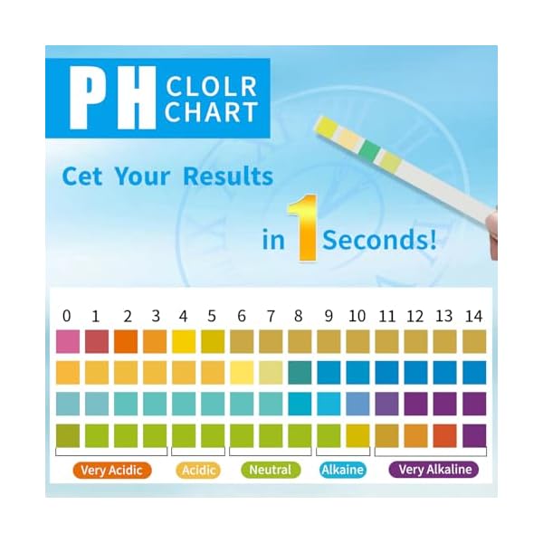 PH-Test-Strips-0-14-200-Strips-Universal-Litmus-Papers-PH-Test-Strips-for-Urine-Saliva-Water-Food-Quickly-Test-Alkalinity-and-Acidity-Levels-Get-Highly-Accurate-Results-in-Seconds PH-Test-Strips-0-14-200-Strips-Universal-Litmus-Papers-PH-Test-Strips-for-Urine-Saliva-Water-Food-Quickly-Test-Alkalinity-and-Acidity-Levels-Get-Highly-Accurate-Results-in-Seconds