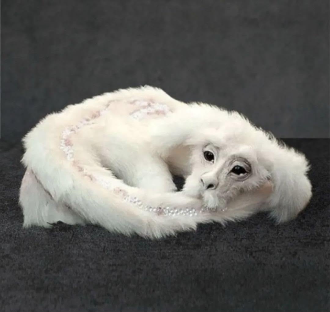 特大80㎝ ファルコン　ネバーエンディングストーリー　ぬいぐるみ 人形　映画 Amazon | 特大80㎝ ファルコン ネバーエンディングストーリー