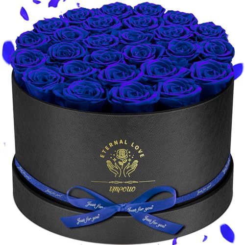 Impouo Forever Flowers 27 Roses in A Box Real Preserved Roses Birthday Gift for Women Mothers Day Anniversary Red Rose (Blue 27 Rose)