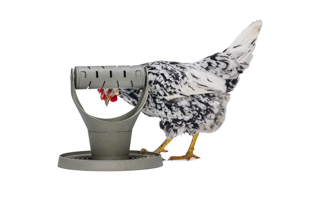 Beeztees Play and Snack Tower, Chicken Accessories, Feeder for Chickens, Play and Snack Tower 30 x 30 x 30 cm, Grey