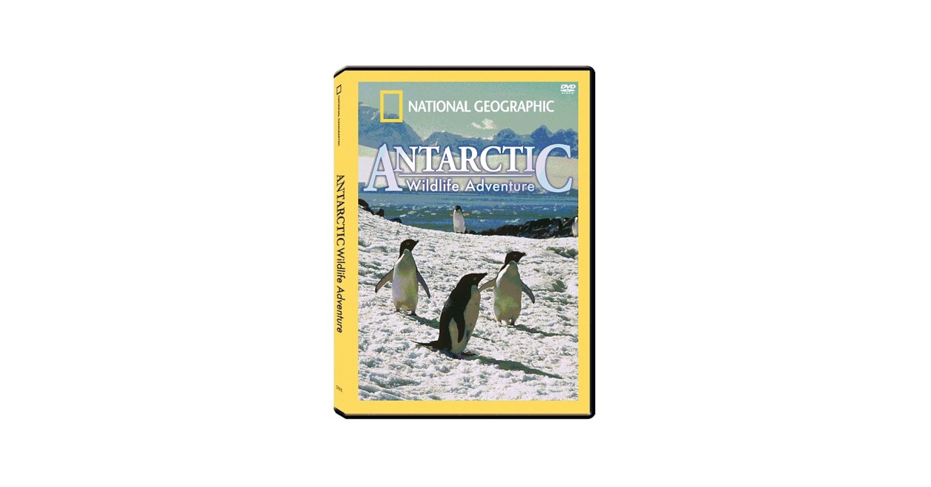 その他 National Geographic: Antarctic Wildlife Adventure [DVD] Amazon.com: National Geographic - Antarctic Wildlife