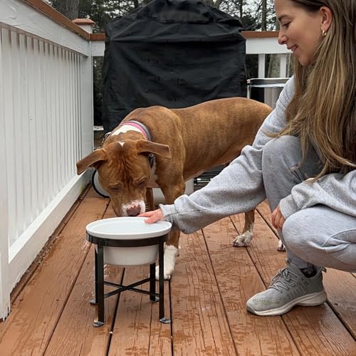 BestVida Erhöhter Hundenapf, Erhöhter Einzelnapfständer, Hundefutterstation mit 1x2400ml Steingutnapf, Hundenapf für mittelgroße und große Hunde (große,Weiß)