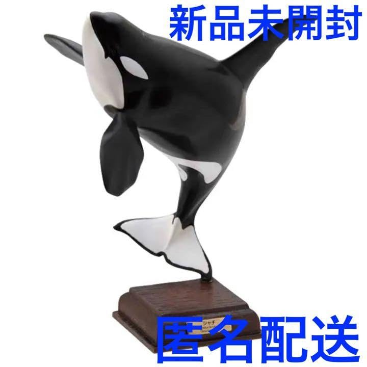 ネイチャーテクニカラー　南極　シャチ 南極 特装版 The South Pole – ネイチャーテクニカラー公式