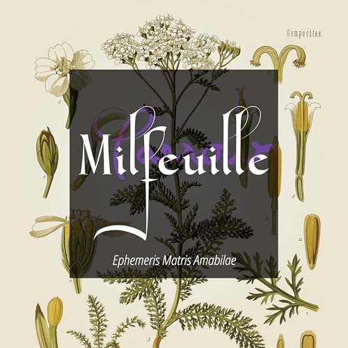 Couverture de Accident de quelqu&rsquo;un