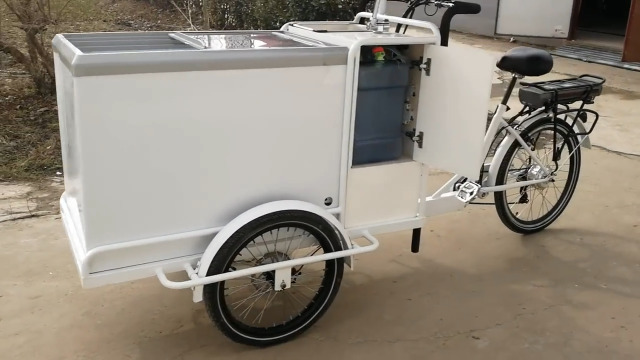 Koalalko Electric Ice Cream Tricycle Ice Cream Cart Street Sale Bike with Freezer Vending Tricycle to Serve Ice Cream,Cold Beverage with Water Treatment System with Pump,Installation Required,White : Industrial & Scientific