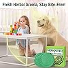20 Pack Natural Mosquito Repellent Coils, Plant-Based Cintronella Long-Lasting Protection, DEET-Free Mosquito Repellent, Safe for Patio, Camping, Backyard, and Poolside Use, 1 Holder 2 Stands #3