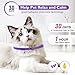 3 Pack Calming Collar Efficient Relieve Reduce Anxiety Stress Pheromones Calm Relaxing Comfortable Breakaway Collars Adjustable for Small, Medium Large Cat, Kittens