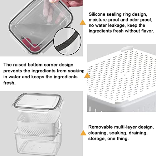 Ronanemon 3Pack Fridge Food Storage Container Set With Lids With Strainer,Plastic Fresh Produce Saver Vegetable Fruit Meat Storage Organization, Bpa-Free Plastic Produce Keepers(3.15L+1.7L+0.8L) #TOP4