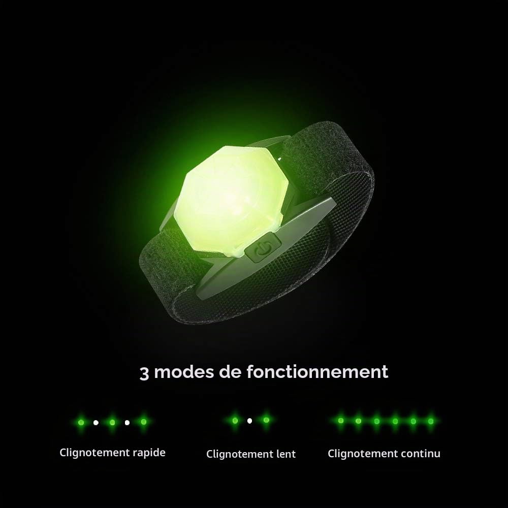 LaRoo Lumière LED clignotante de sécurité pour chien, chat, rechargeable par USB, veilleuse LED, collier étanche la nuit, promenade avec le chien en plein air, Silicone