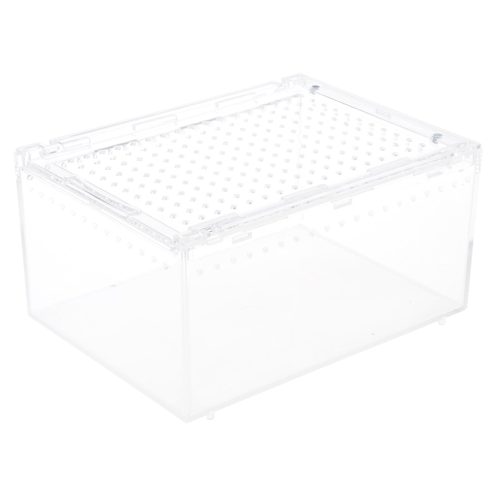 Buxuaaaa Magnet Acrylic Case Arboreal Enclosure Reptiles Habitat Terrarium Breeding Box Reptiles Feeding Box for Isopods Breeding