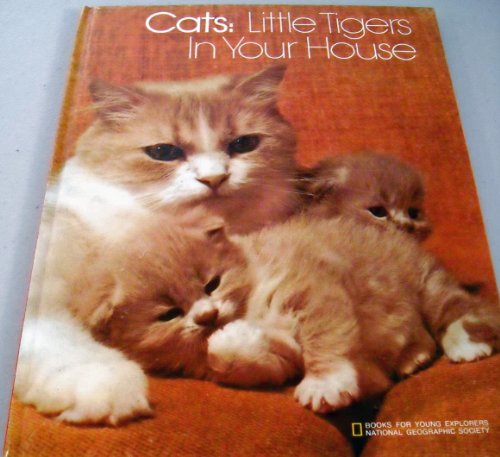 Can You Anwer This Question 5 Cats: Little Tigers in Your House (Books for Young Explorers)