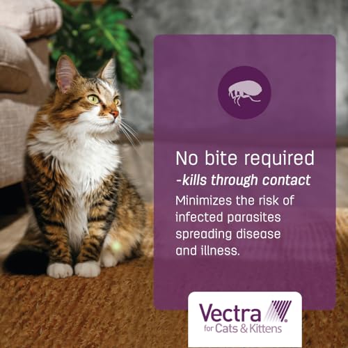 Vectra for Cats Flea Treatment & Prevention for Large Cats (Over 9 lbs.) 6-Month Supply | No Prescription Required, Easy to Apply Topical Flea Prevention, Quick Drying - Image 6
