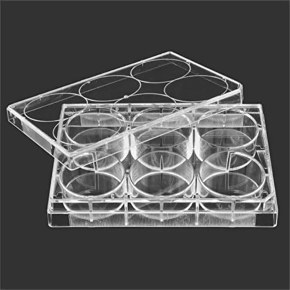 5 pezzi/lotto analisi di laboratorio in plastica a 6 pozzetti