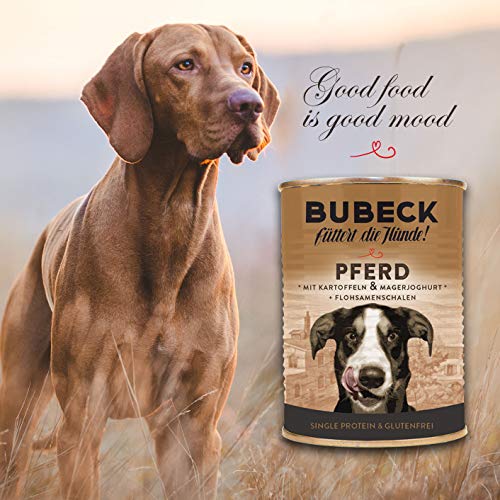 Nassfutter für Hunde | getreidefrei von Bubeck | Verschiedene Sorten (Pferd, 400g)