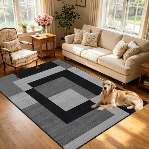 Tapis de salon lavable en machine antidérapant grand pour chambre