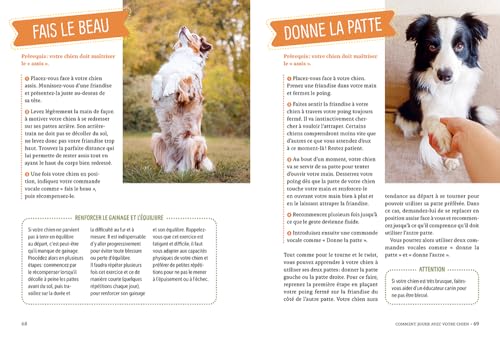 Éduquer son chien par le jeu - Une méthode efficace pour renforcer la relation: A pratiquer à tout âge, en extérieur comme à l'intérieur, avec de la nourriture, des accessoires ou sans rien – vue 5