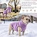 Oslueidy Hundemantel Fleece Hunde Jacken Hund warme Mäntel Winter Haustier Kleidung Hoodies Pullover Jumpsuit Hund Schnee Outfits Weste für kleine mittlere große Hunde XS-XXL (Lila, XXL)