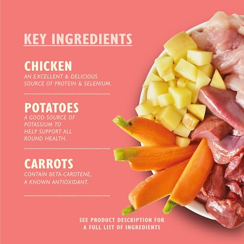 Lily's Kitchen Natural Puppy Wet Dog Food Multipack Grain-Free Recipe 12 x 400g - 3