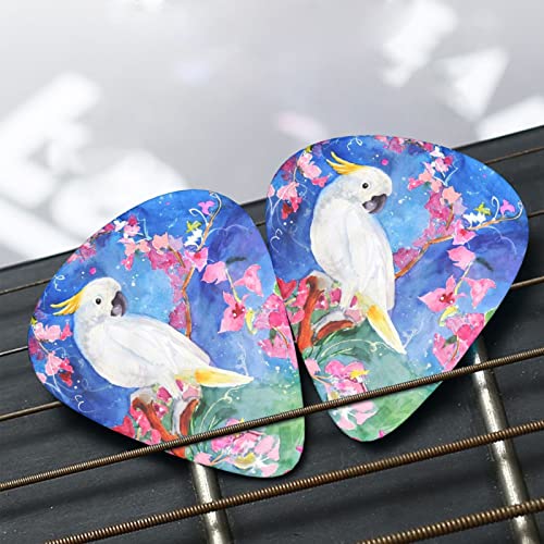 Ensemble de 12 médiators de guitare de belle fleur d’oiseau cacatoès pour guitare acoustique, guitare électrique… - Les Beatles, Paul McCartney, John Lennon, RIngo Starr, George Harrison Ensemble de 12 médiators de guitare de belle fleur d'oiseau cacatoès pour guitare acoustique, guitare électrique… – Image 8