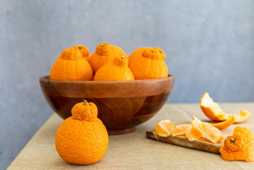Fresh Dekopon Citrus Mandarins Shiranui Mandarin Oranges, Seedless, Juicy, Easy to Peel - 5lbs Large Size