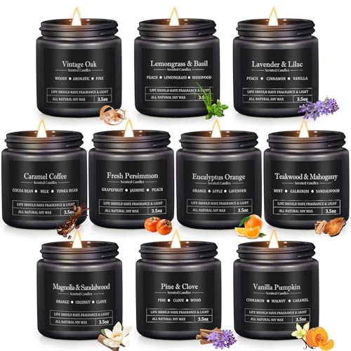 Product Image of the 10 Pack Scented Candles Set Gifts for Men, Aromatherapy Candle Set Gift for Dad, Boyfriend, Men, Father's Day Gifts