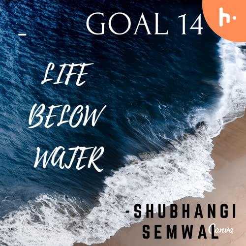 LIFE BELOW WATER Titelbild