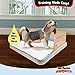 Four Paws Wee-Wee Pad On Target Trainer Dog and Puppy Training Tray 22