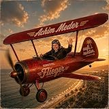 fliegenpilz basteln  Flieger