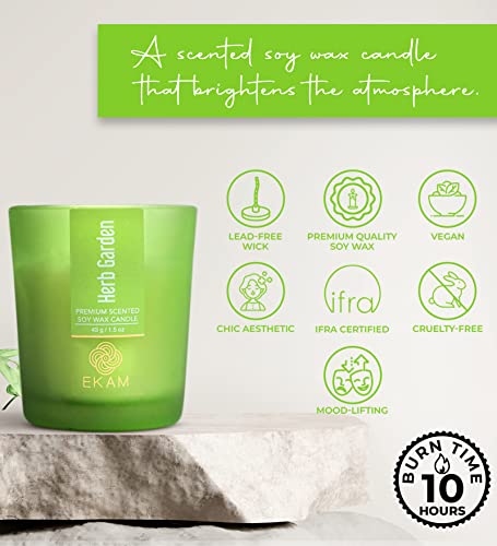 Image of EKAM Herb Garden Votive Soy Wax Scented Candle, 40 Grams, 10 Hours Burn Time| Long Lasting Premium Candles | Ideal for Home Decor | Gifting & Aromatherapy (Pack of 9)