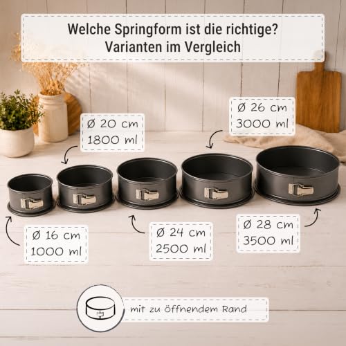 Springform rund – Birkmann – grau, Ø 26 cm, 9 cm hoch, Karbonstahl, Marken-Antihaftbeschichtung, mit Auslaufschutz… – Ansicht 6